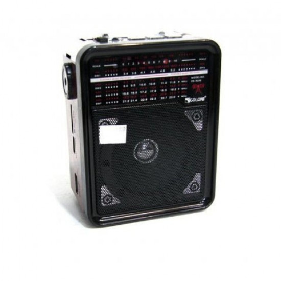 Радіоприймач RX-9100 USB+SD Радіо з ліхтарем Golon Pro Opt